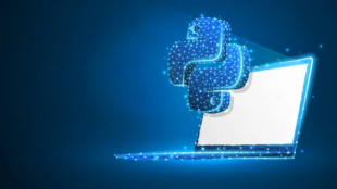 The Power Of Python manage.py Runserver For Development
